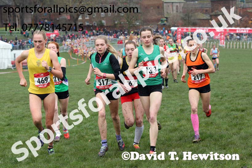 Intermediate girls 2019 New Balance English Schools Cross Country Champs, Temple Newsam, Leeds. Photo:  David T. Hewitson/Sports for All Pics